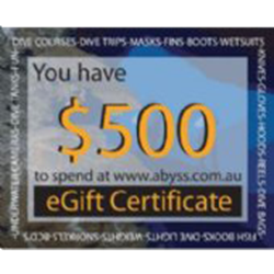 $500 Gift Certificate